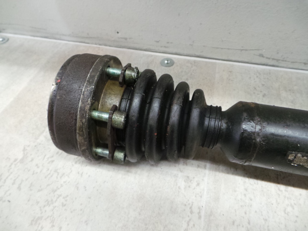 20201221_104128.JPG