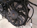 IMG_20220406_100106.jpg