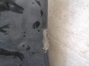 IMG_20220906_142010.jpg